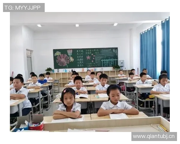 周磊的网球人生深度对话探索运动背后的坚持与梦想